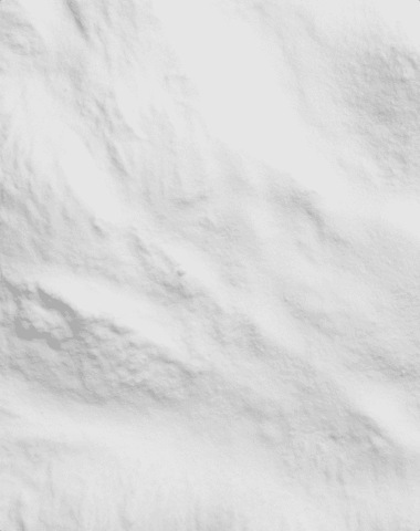 Sodium alginate (Phaeophycota)