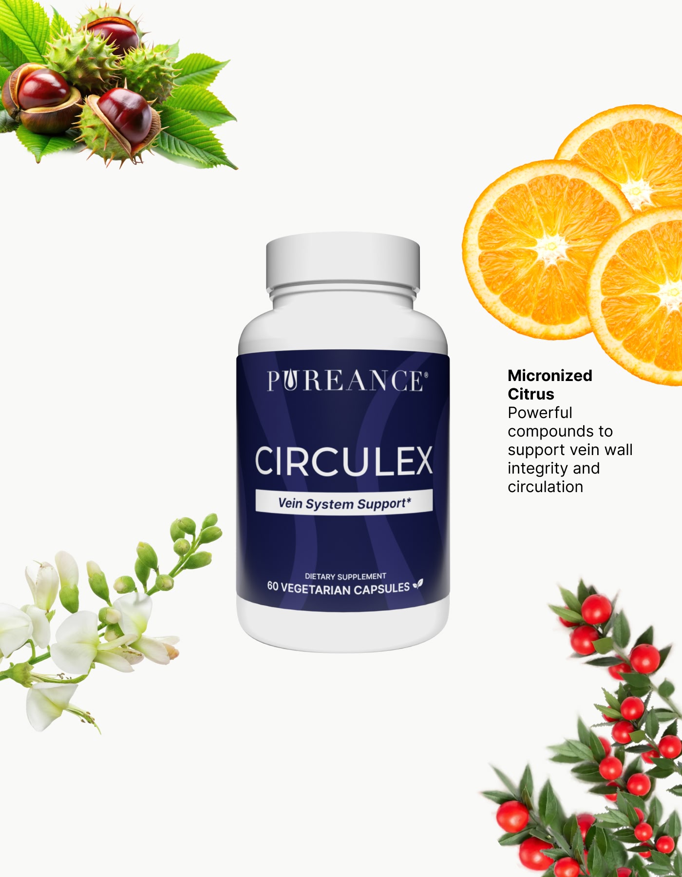 Key ingredients in Circulex vein health supplement