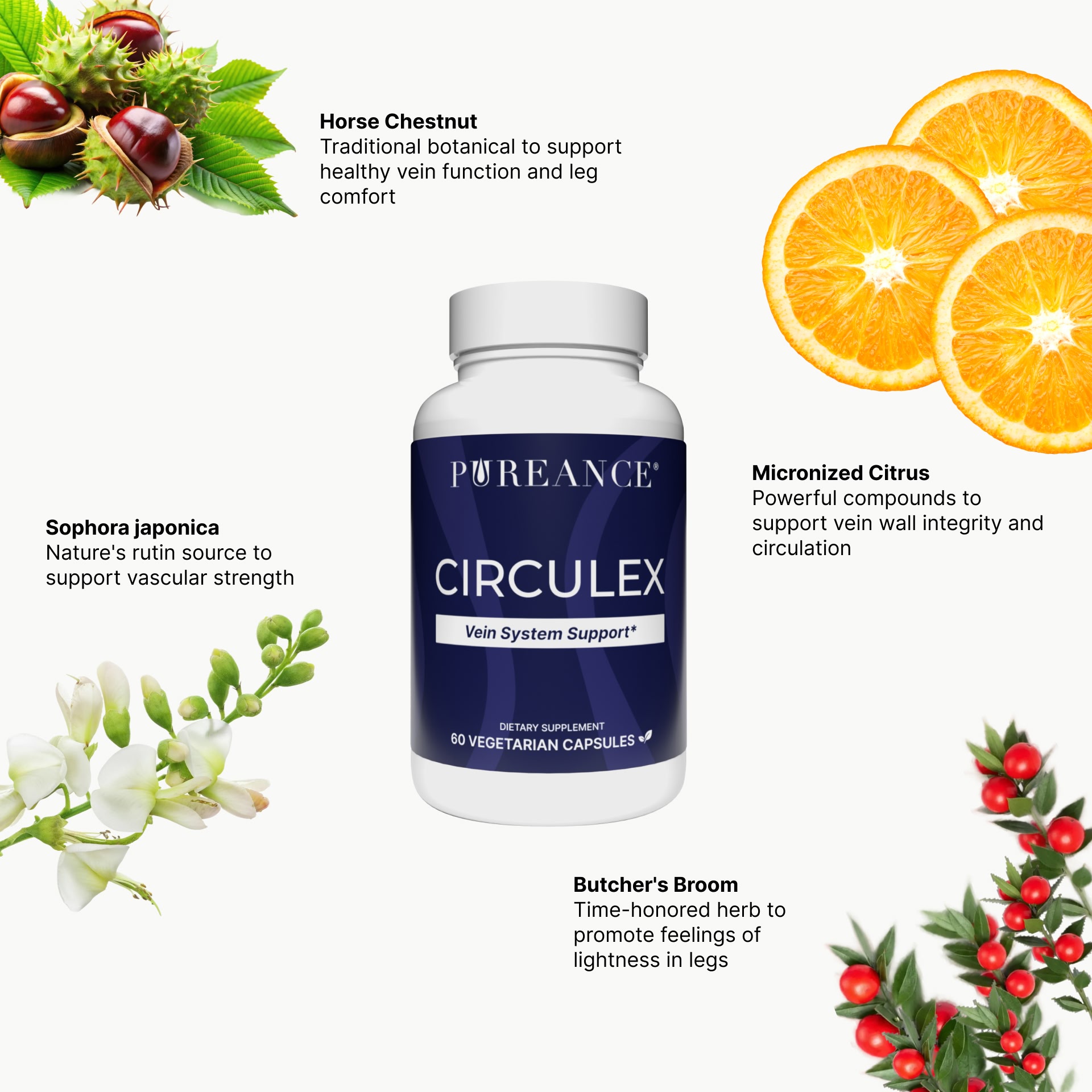 Key ingredients in Circulex vein health supplement