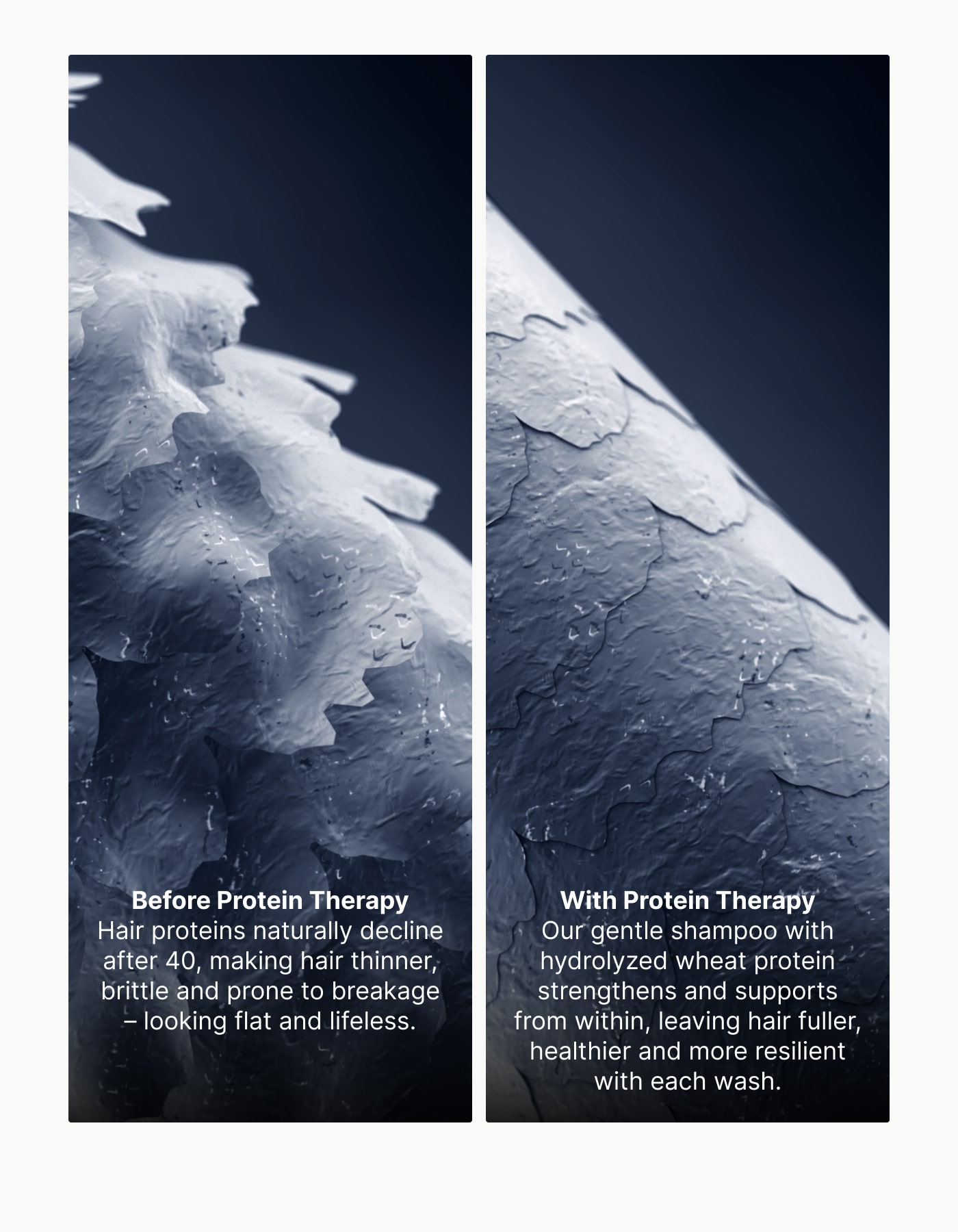 Before and after protein therapy on hair strands