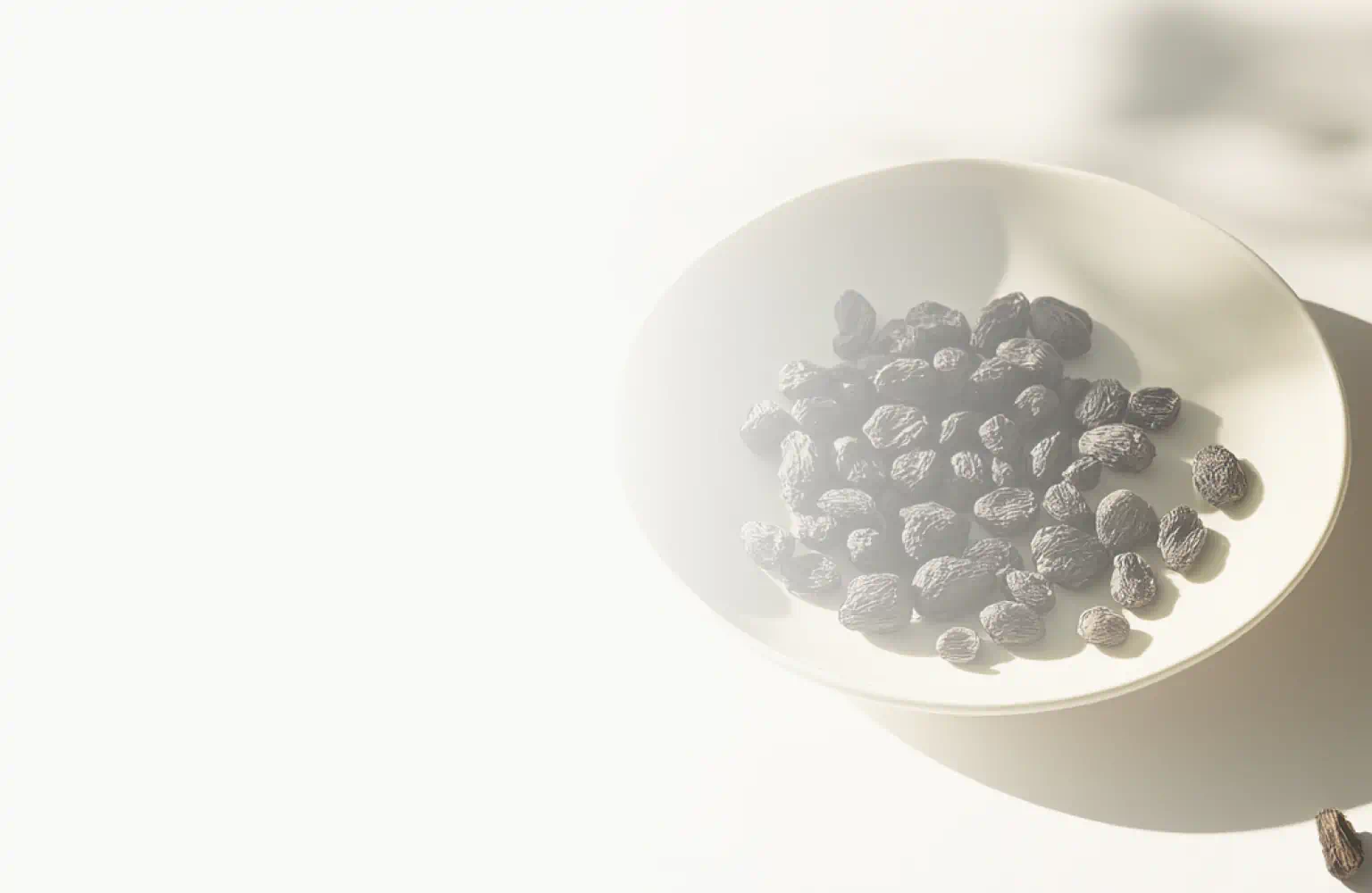 A bowl filled with small, dark, wrinkled Bakuchiol seeds