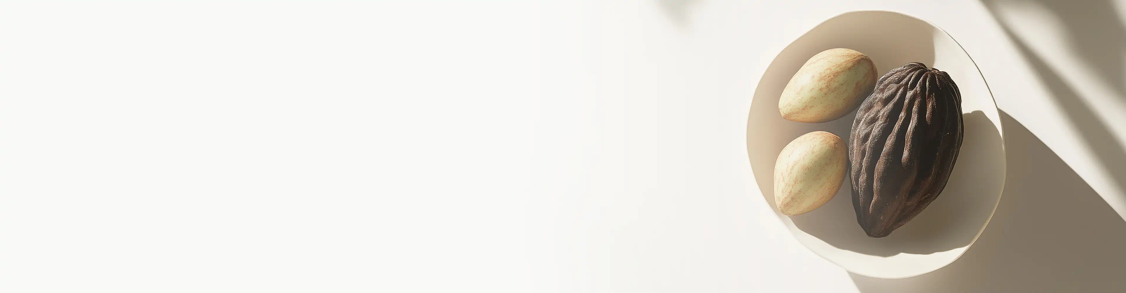 Cocoa pod and seeds in a ceramic bowl