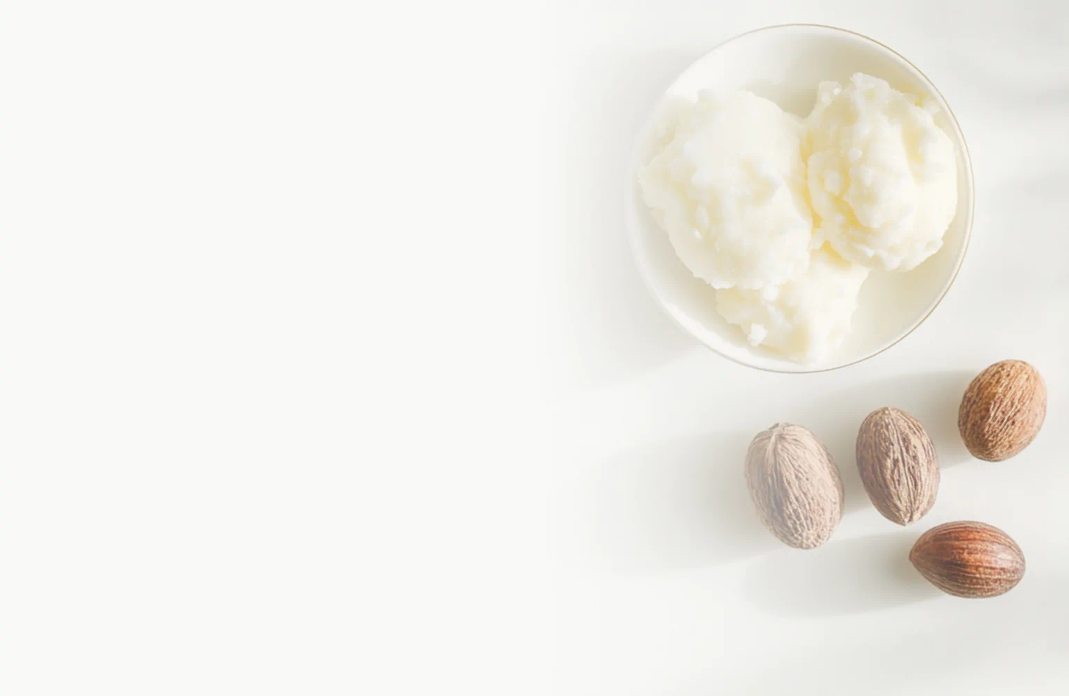 Bowl of ivory-colored shea butter with whole shea nuts on a white background