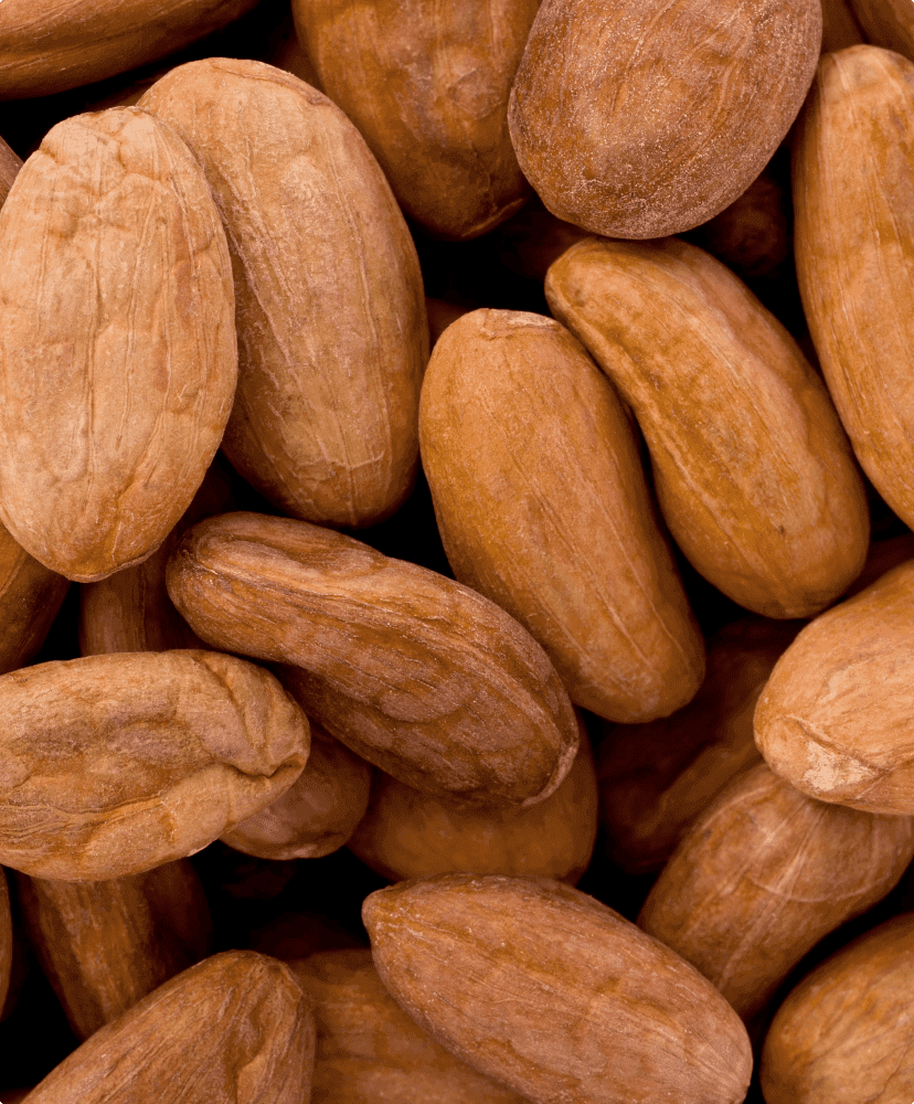 Cacao Seed Butter