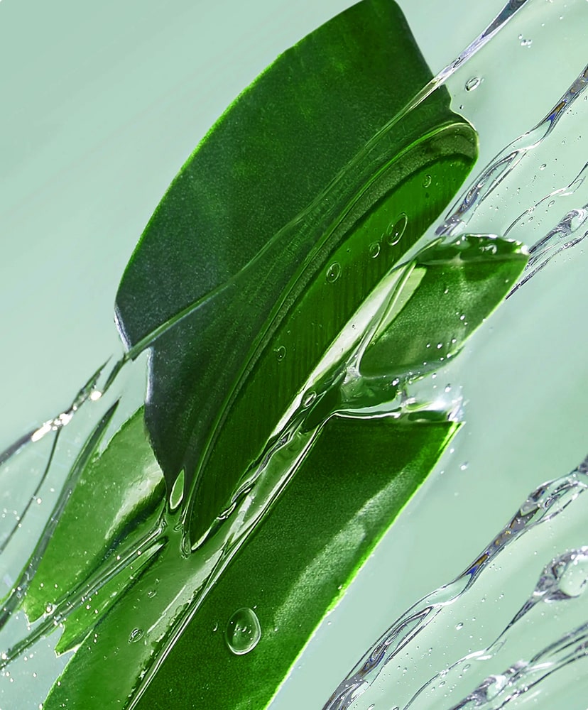 Aloe Vera Leaf Extract (250 mg)
