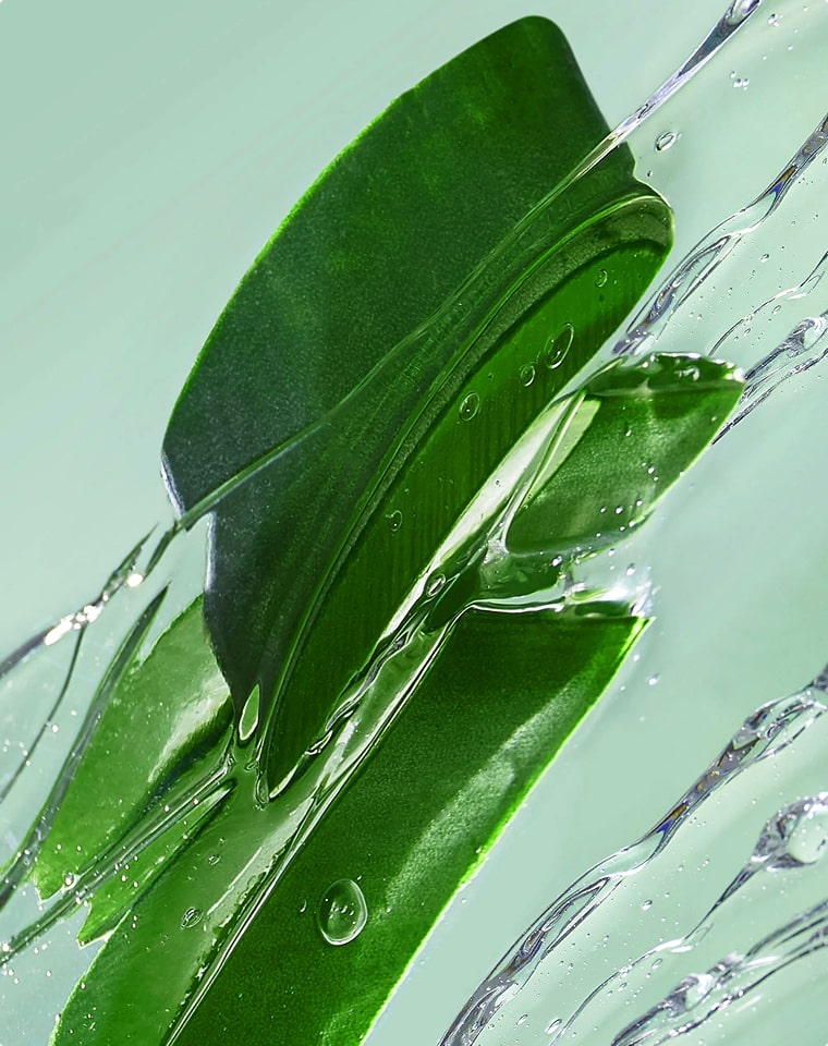 Aloe Vera Leaf Extract (250 mg)