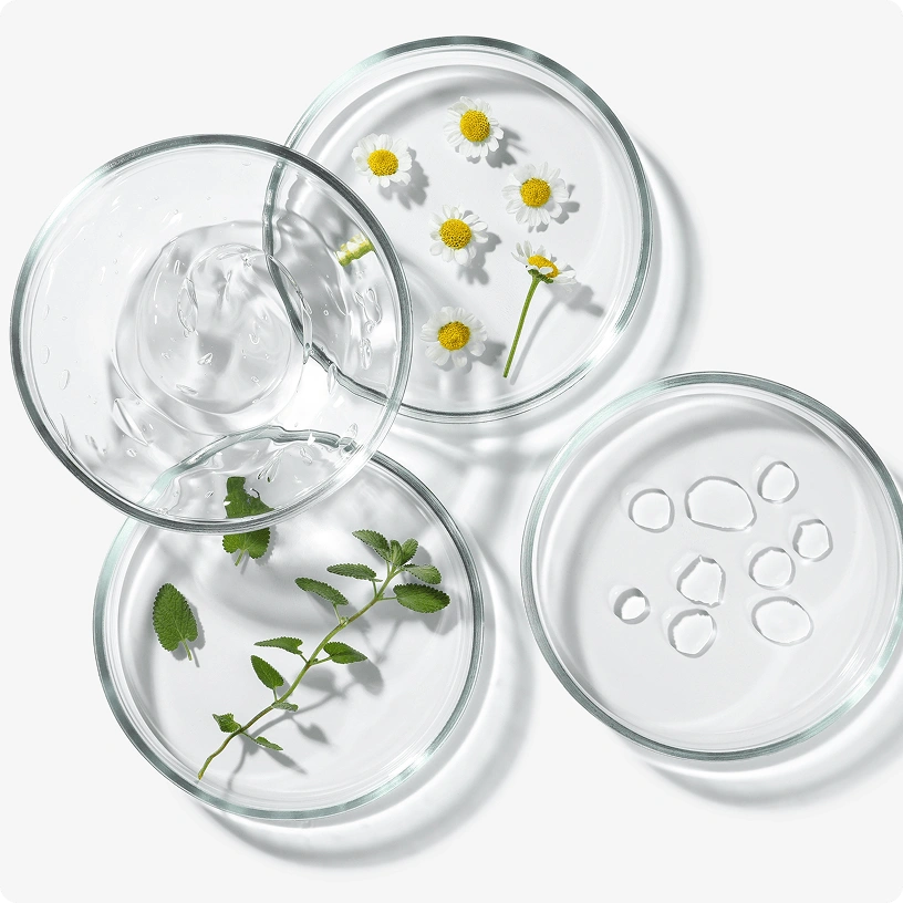 Glass petri dishes with herbs, chamomile flowers, gel, and water droplets