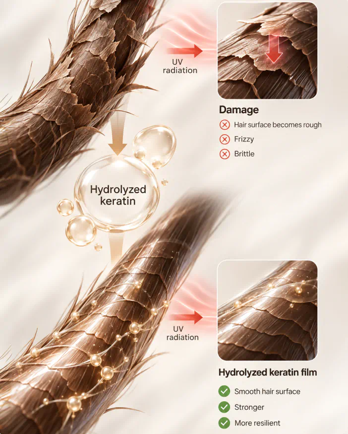 Diagram: hydrolyzed keratin film protecting the hair surface from UV damage
