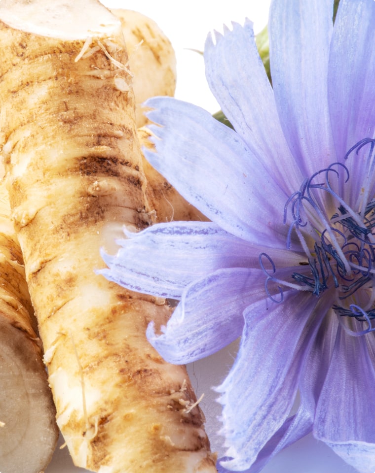 Inulin from Jerusalem Artichoke and Chicory Root (850mg)